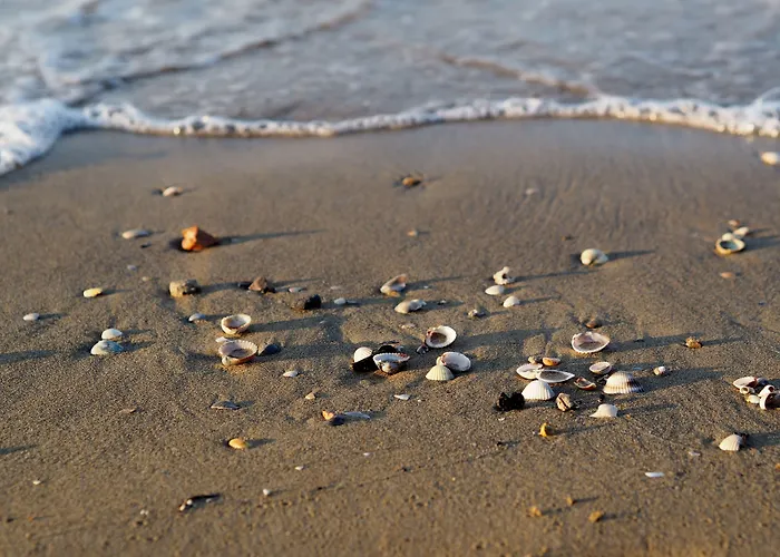 Wonderful Flat With Solarium And Swimming Pools